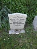 image of grave number 264911